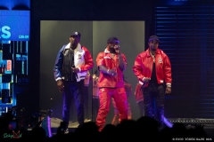 IMG_5207_lr
