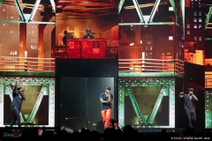IMG_5251_lr