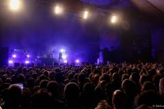 IMG_0872_lr
