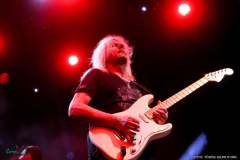 IMG_0081_lr