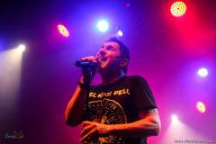 IMG_0290_lr