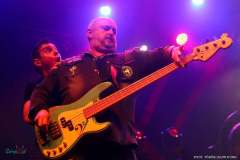 IMG_0367_lr