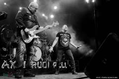 IMG_0442_lr