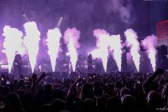 IMG_0388_lr