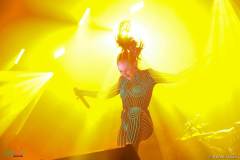IMG_1221_lr