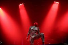 IMG_1295_lr