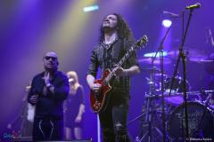 IMG_3517_lr