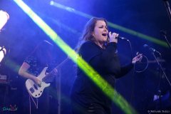 IMG_4782_lr