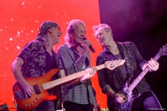 IMG_7800_lr