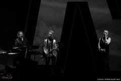 IMG_1553_lr