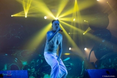 IMG_8104_lr