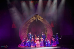 IMG_9233_lr
