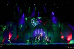 IMG_9408_lr