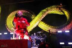 IMG_8686_lr