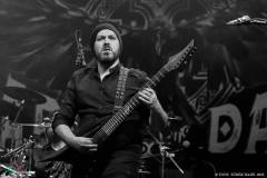 IMG_9644_lr