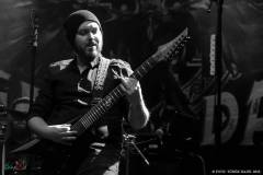 IMG_9695_lr