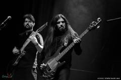 IMG_9750_lr