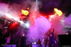 IMG_2237_lr