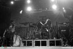 IMG_0673_lr