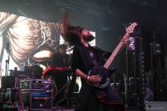 IMG_9891_lr