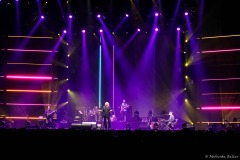 IMG_9990_lr