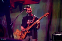 IMG_9440_lr
