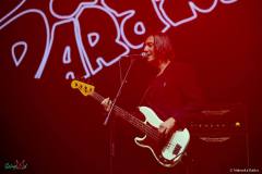 IMG_6266_lr