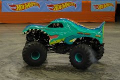 IMG_1974_lr