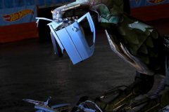 IMG_2102_lr