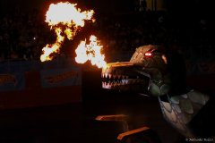 IMG_2133_lr