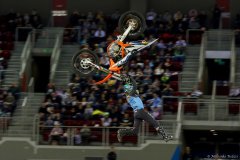 IMG_2365_lr