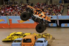 IMG_2437_lr