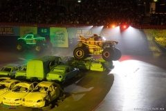 IMG_9728_lr