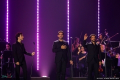 IMG_2028_lr