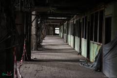 IMG_4630_lr