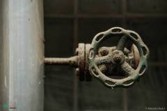 IMG_4688_lr