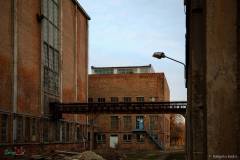 IMG_4710_lr