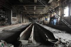 IMG_7266_lr
