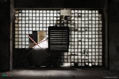 IMG_7285_lr