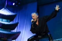 IMG_3681_lr