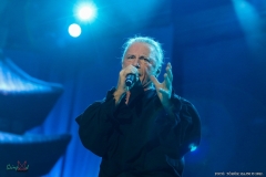 IMG_3700_lr