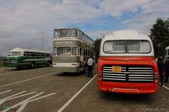 IMG_6848_lr