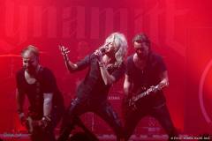 IMG_4602_lr