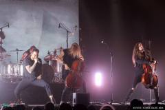 IMG_2446_lr