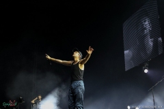 IMG_9491_lr