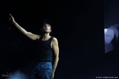 IMG_9493_lr