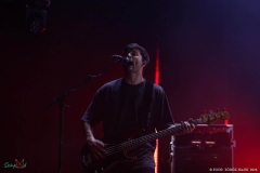 IMG_9672_lr