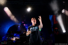 IMG_1528_lr
