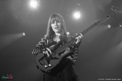 IMG_4870_lr