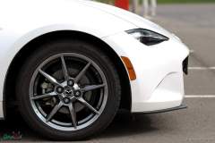 IMG_4348_lr